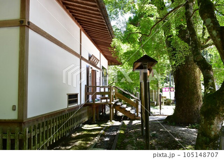 初夏の松平東照宮　松平の郷 105148707