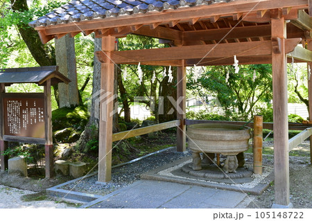 初夏の松平東照宮　松平の郷 105148722