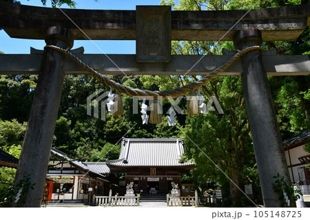 初夏の松平東照宮　松平の郷 105148725