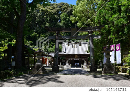 初夏の松平東照宮　松平の郷 105148731