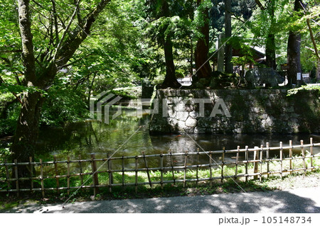 初夏の松平東照宮 松平の郷 初夏の松平東照宮 松平の郷 105148734