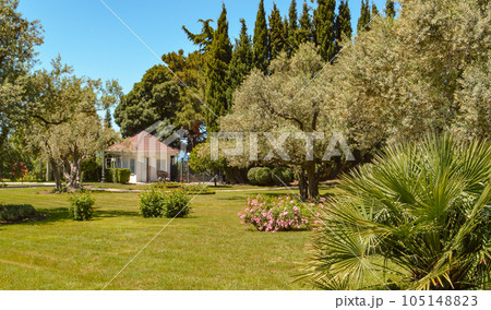 Picturesque view of the Mediterranean landscape with a beautiful lawn, a small farmhouse and olive and cypress trees, sunny summer day Picturesque view of the Mediterranean landscape with a beautiful lawn, a small farmhouse and olive and cypress trees, sunny summer day 105148823