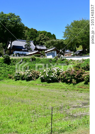 初夏の高月院　松平の郷 105148837