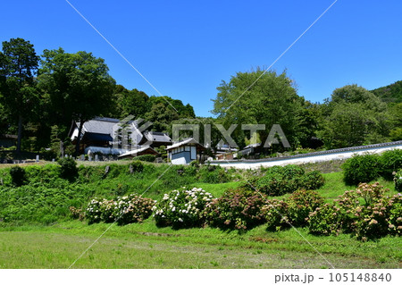 初夏の高月院　松平の郷 105148840