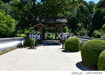 初夏の高月院　松平の郷 105148844