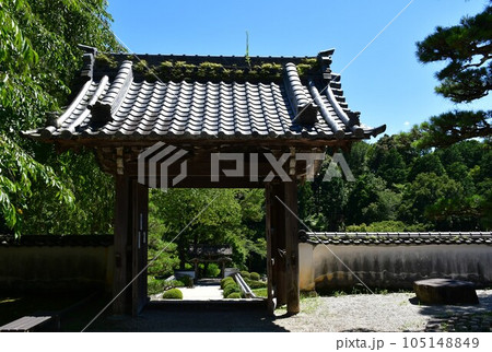 初夏の高月院　松平の郷 105148849