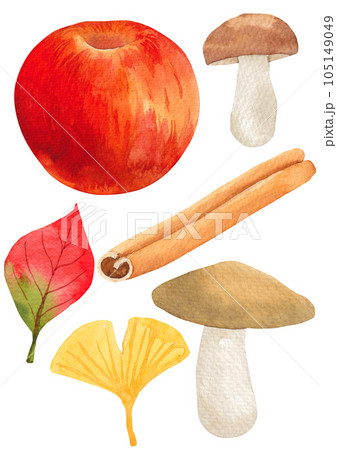 Watercolor illustration of autumn objects. Watercolor illustration of autumn objects. 105149049