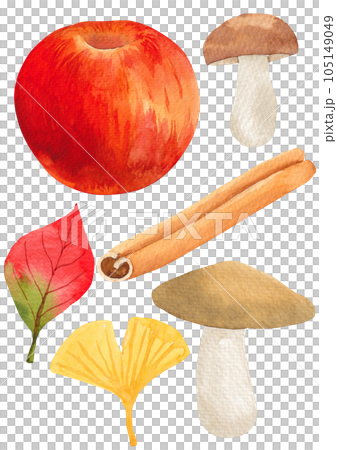 Watercolor illustration of autumn objects. Watercolor illustration of autumn objects. 105149049
