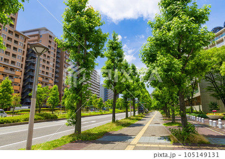 HAT神戸の風景 神戸市中央区にて HAT神戸の風景 神戸市中央区にて 105149131