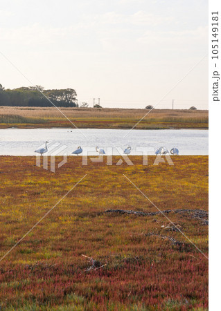 北海道サロマ湖のキムアップ岬の風景 北海道サロマ湖のキムアップ岬の風景 105149181