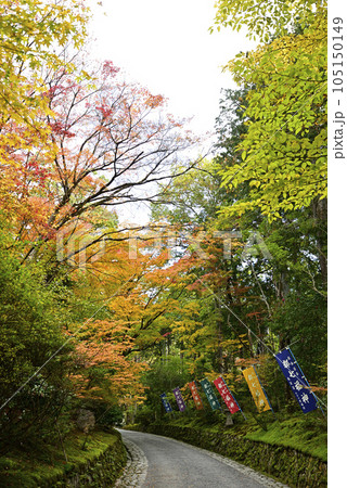 赤山禅院　紅葉 105150149