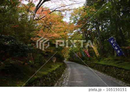 赤山禅院　紅葉 105150151