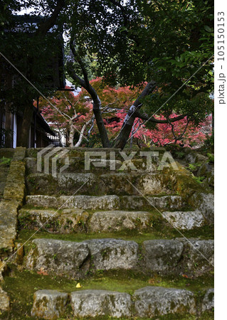 赤山禅院　紅葉 105150153