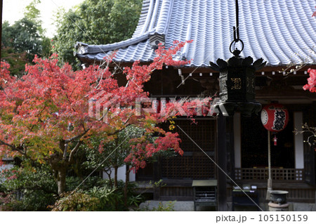 赤山禅院 紅葉 赤山禅院 紅葉 105150159