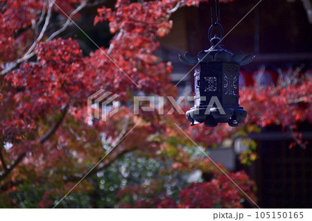 赤山禅院 紅葉 赤山禅院 紅葉 105150165