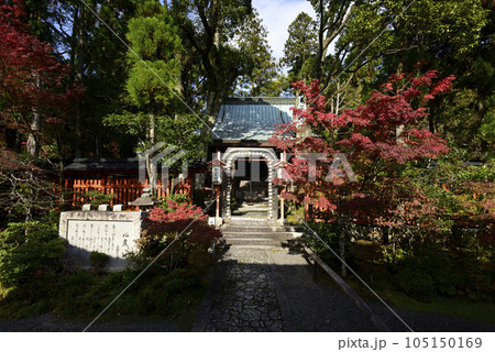 赤山禅院 本殿 紅葉 赤山禅院 本殿 紅葉 105150169