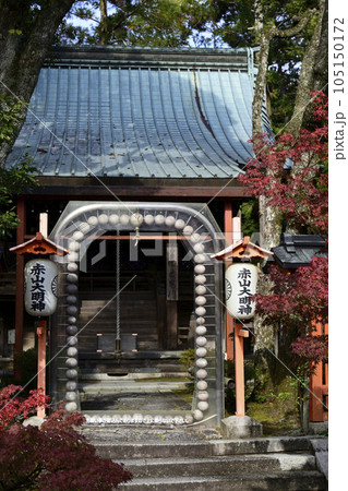 赤山禅院　本殿　紅葉 105150172