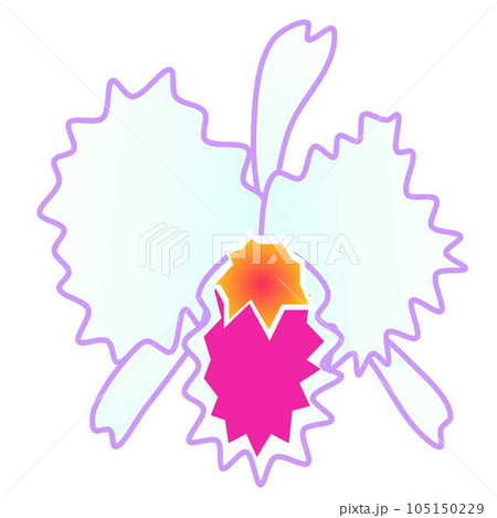 蘭の花のイラスト 105150229