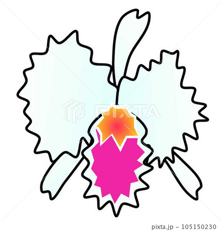 蘭の花のイラスト 105150230