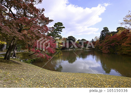 京都仙洞御所　北池　女院御所の池　紅葉 105150336