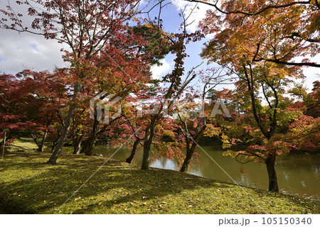 京都仙洞御所 北池 女院御所の池 紅葉 京都仙洞御所 北池 女院御所の池 紅葉 105150340