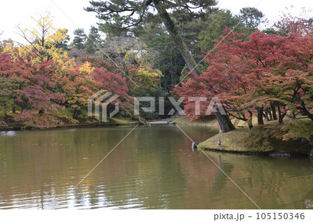 京都仙洞御所　北池　女院御所の池　紅葉 105150346