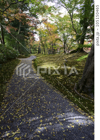 京都仙洞御所　鷺の森へ続く道 105150465