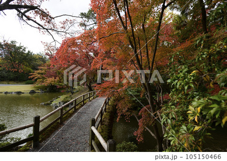 京都仙洞御所　紅葉橋 105150466