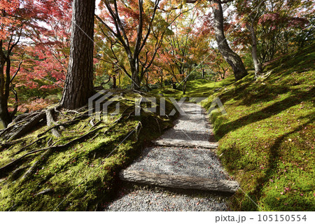 京都仙洞御所 紅葉山 京都仙洞御所 紅葉山 105150554