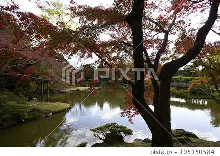 京都仙洞御所　南池の紅葉 105150584