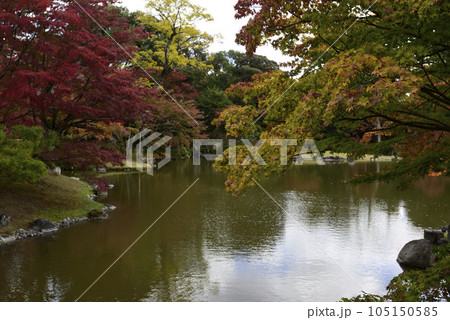京都仙洞御所　南池の紅葉 105150585