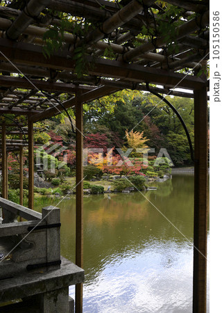 京都仙洞御所 南池の紅葉 京都仙洞御所 南池の紅葉 105150586