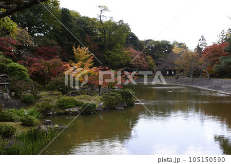 京都仙洞御所　南池の紅葉 105150590