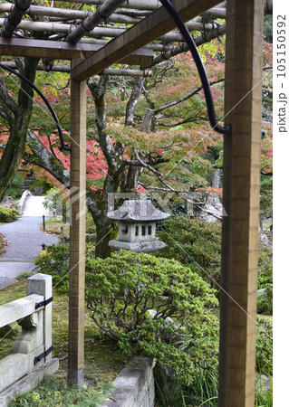 京都仙洞御所 南池の紅葉 京都仙洞御所 南池の紅葉 105150592