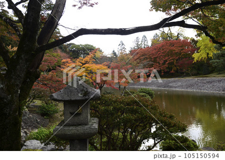 京都仙洞御所　南池の紅葉 105150594