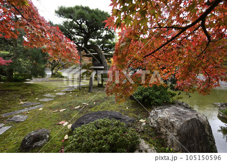 京都仙洞御所　南池の紅葉 105150596