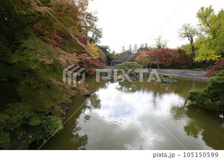 京都仙洞御所　南池の紅葉 105150599