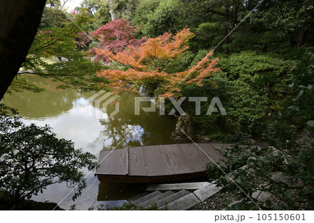 京都仙洞御所　南池の紅葉 105150601