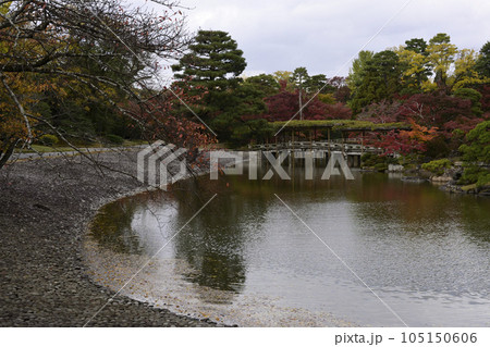 京都仙洞御所　南池の紅葉 105150606