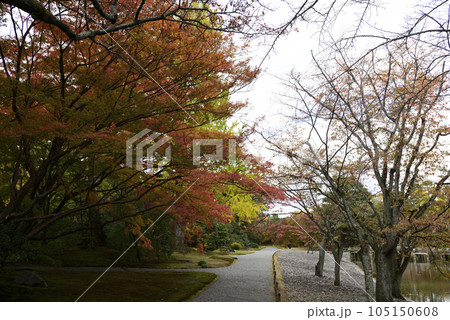 京都仙洞御所　南池の紅葉 105150608