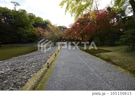 京都仙洞御所 南池の紅葉 京都仙洞御所 南池の紅葉 105150615