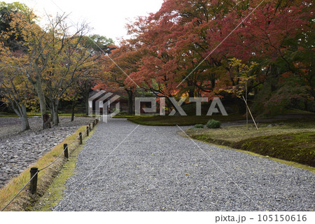 京都仙洞御所　南池の紅葉 105150616