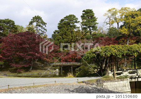 京都仙洞御所　紅葉橋の紅葉 105150680