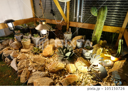 アガベの子株達～ドライガーデン～ 105150726