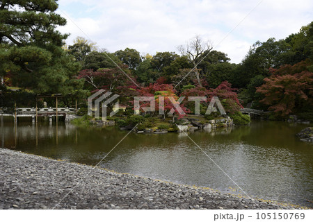 京都仙洞御所　南池　八ッ橋の紅葉 105150769