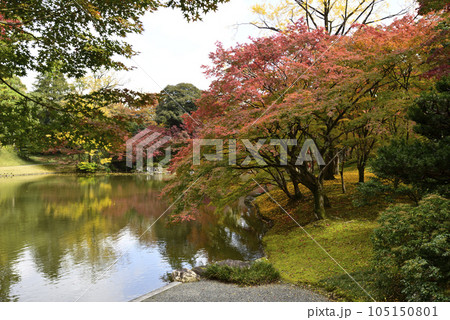 京都仙洞御所　北池の紅葉 105150801