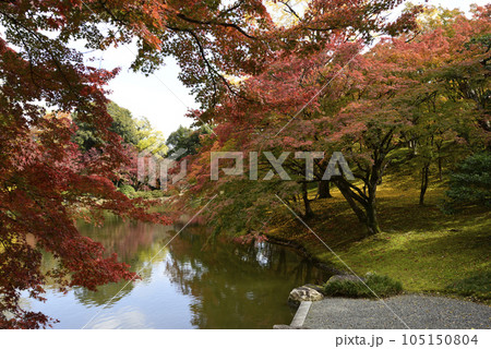 京都仙洞御所　北池の紅葉 105150804