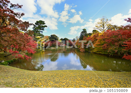 京都仙洞御所　北池の紅葉 105150809