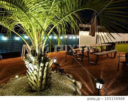 アメリカンハウスの庭 105150986