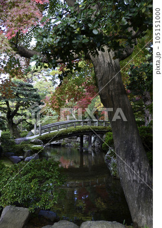 京都御所 御内庭の紅葉 京都御所 御内庭の紅葉 105151000